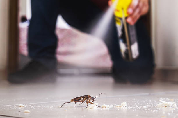 Best Pest Control for Restaurants  in Centerville, PA